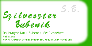 szilveszter bubenik business card